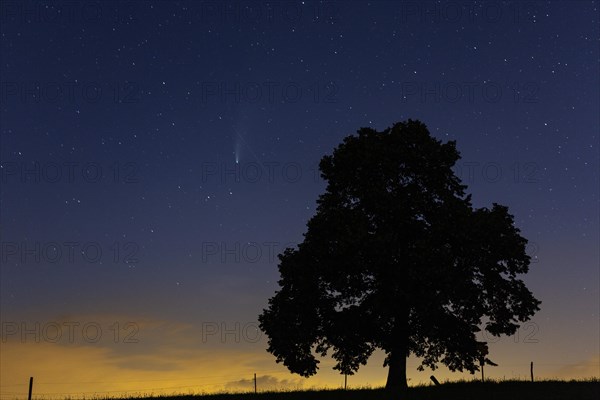 Comet C/2020 F3