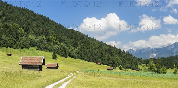 Path through a meadow with hay barns at the Geroldsee