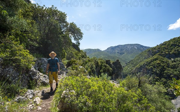 Hiker on a hiking trail