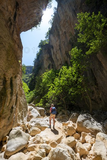 Hiking in the canyon with green trees