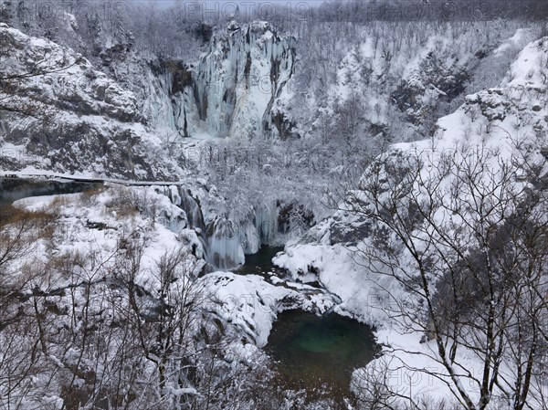 Winter landscape