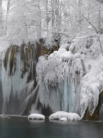 Winter landscape