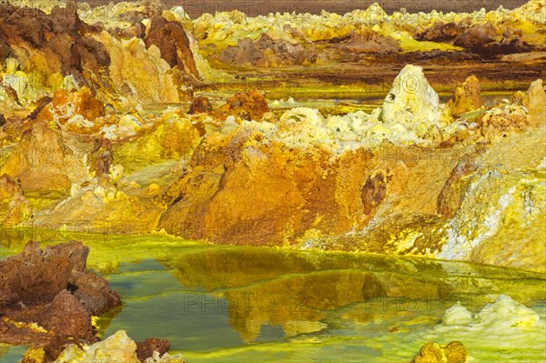 Salt structures in a highly saturated acidic brine pool