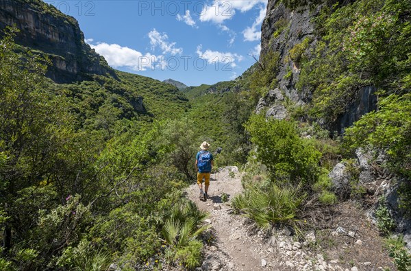 Hiker on a hiking trail