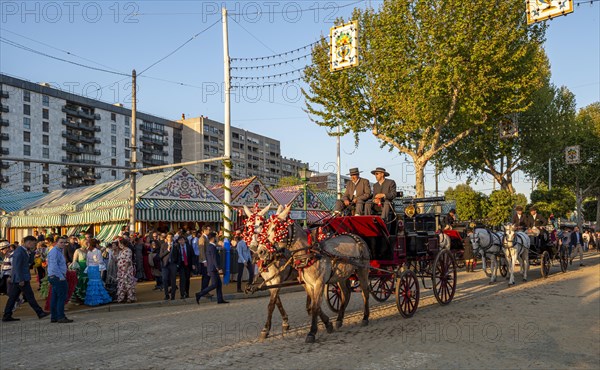 Decorated horse-drawn carriage