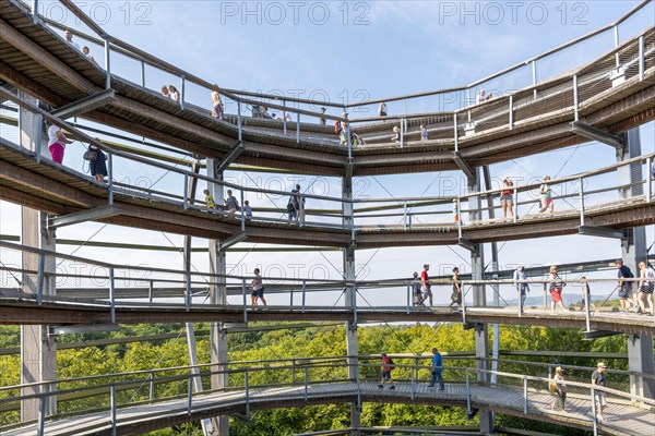 Tree top walk with tourists