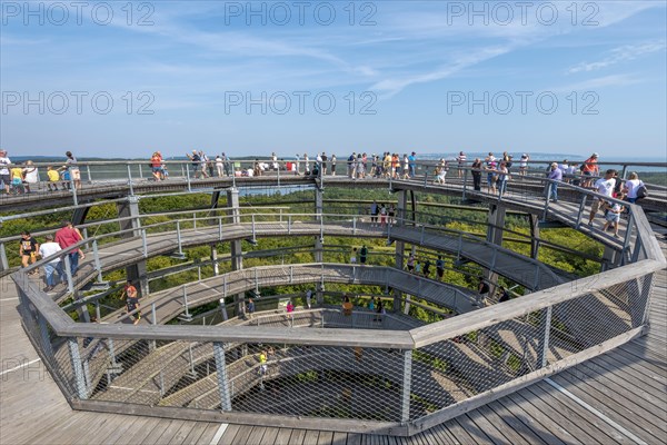 Tree top walk with tourists