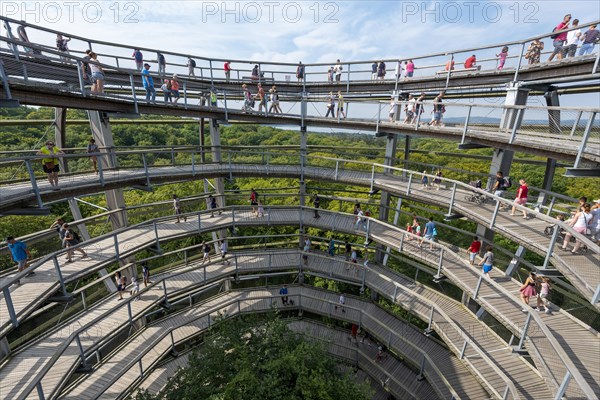 Tree top walk with tourists