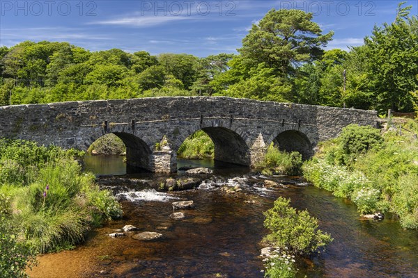 Historic bridge over the East Dart River