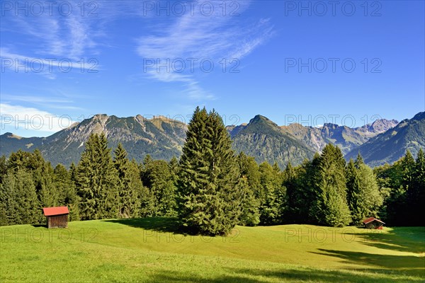 Haystack on a mountain meadow