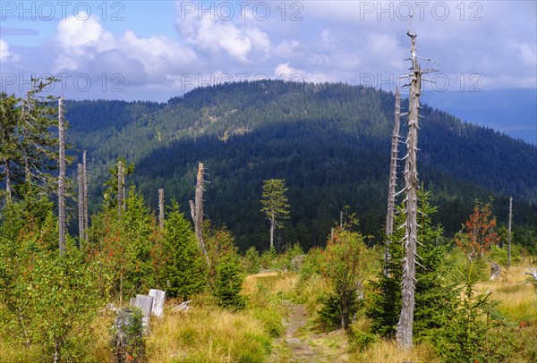 View from Heugstatt to Schwarzeck