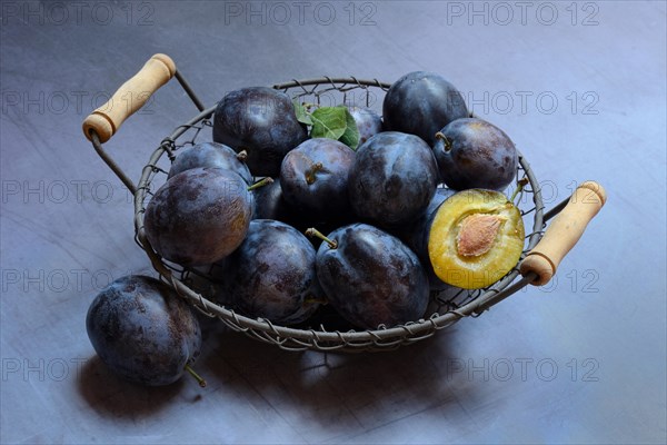 Plums in wire basket