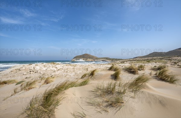 Sand dunes on the beach