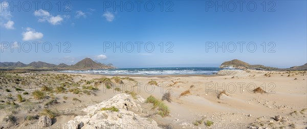 Sand dunes on the beach