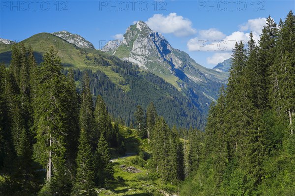 Glarner Alps at the Pragelpass