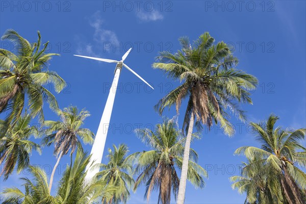 Wind turbine surrounded by palm trees