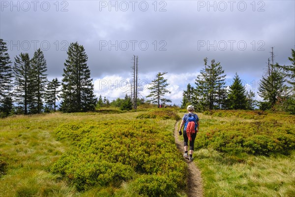 Summit plateau of Heugstatt