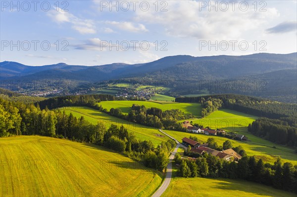 Weiler Silbersbach between Lohberg and Lam