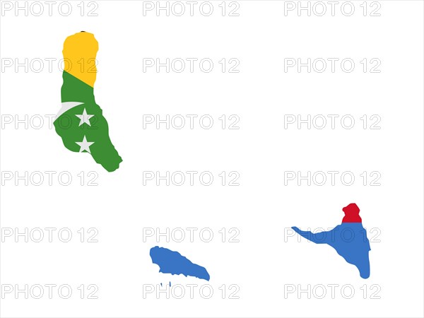 Flag in form form of the geographical country