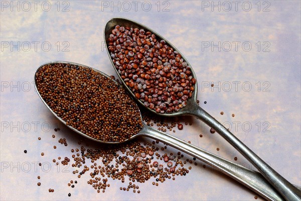 Quinoa