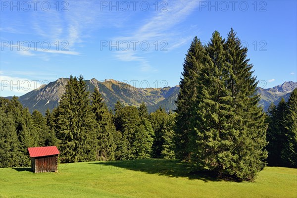 Haystack on a mountain meadow