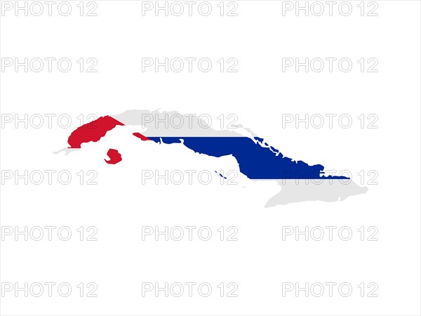 Flag in form form of the geographical country
