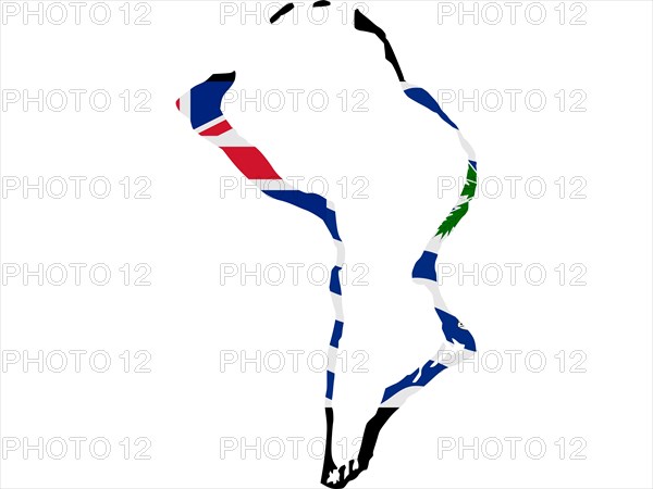 Flag in form form of the geographical country