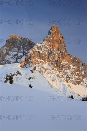 Cima della Pala