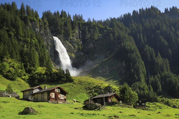 Staeubifall