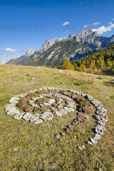 Spiral of cow dung