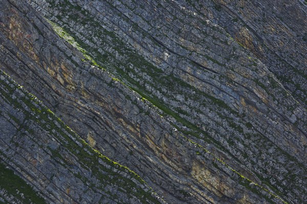 Rock face on the Brienzer Rothorn