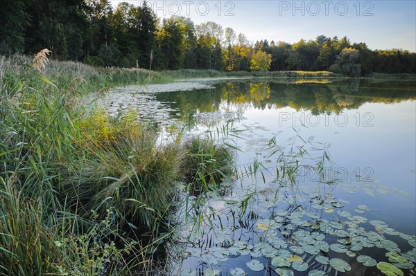 Lake Burgaeschi