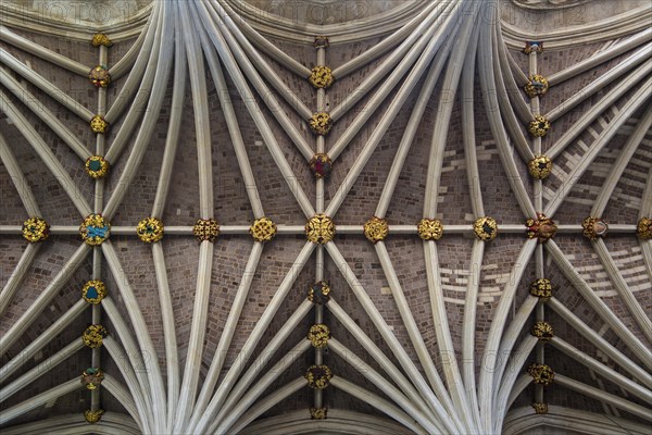 Fan vaulting