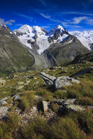 Piz Bernina