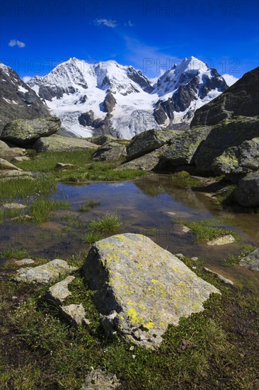 Piz Bernina