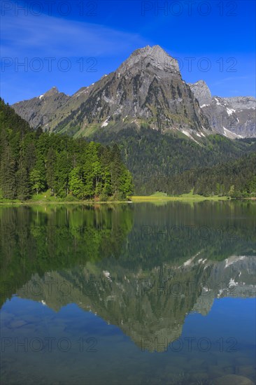 Obersee