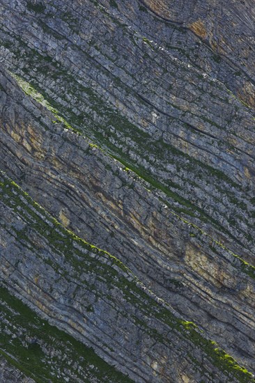 Rock face on the Brienzer Rothorn