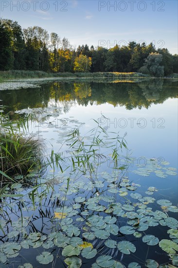 Lake Burgaeschi