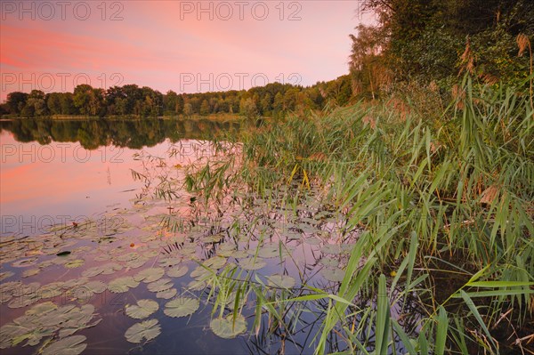 Lake Burgaeschi