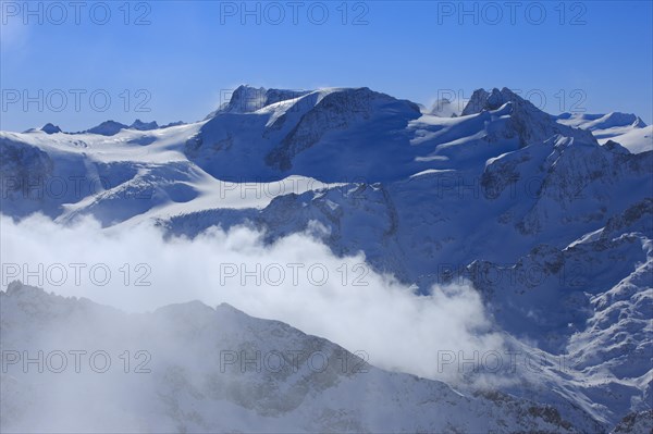 Gwaechtenhorn and animal mountains