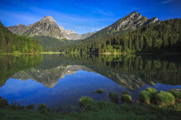 Obersee