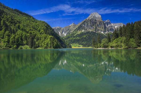 Obersee