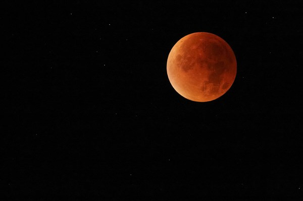 Blood Moon