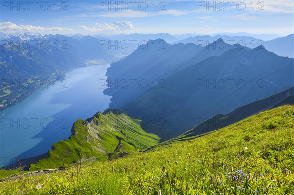 View from the Brienzer Rothorn