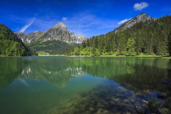 Obersee