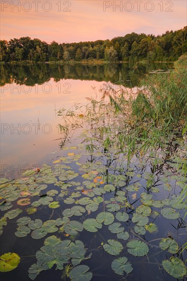 Lake Burgaeschi