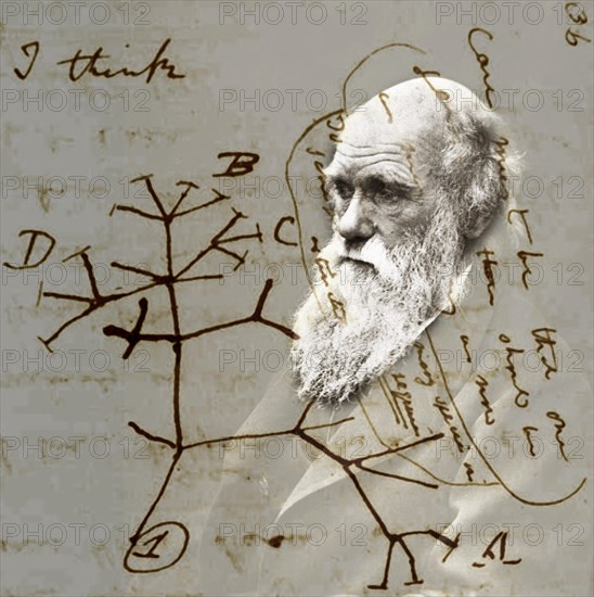 Charles Darwin