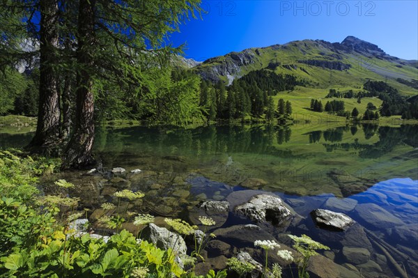 Lake Palpuogna