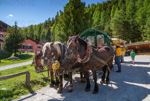 Horse-drawn carriage in the Roseg Valley