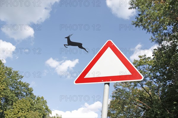 Deer jumps out of the traffic sign